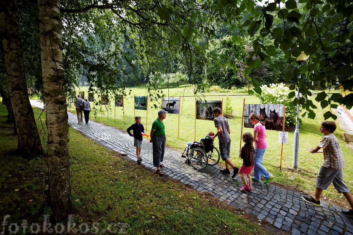 Anensk pou, Anensk studnka 2016