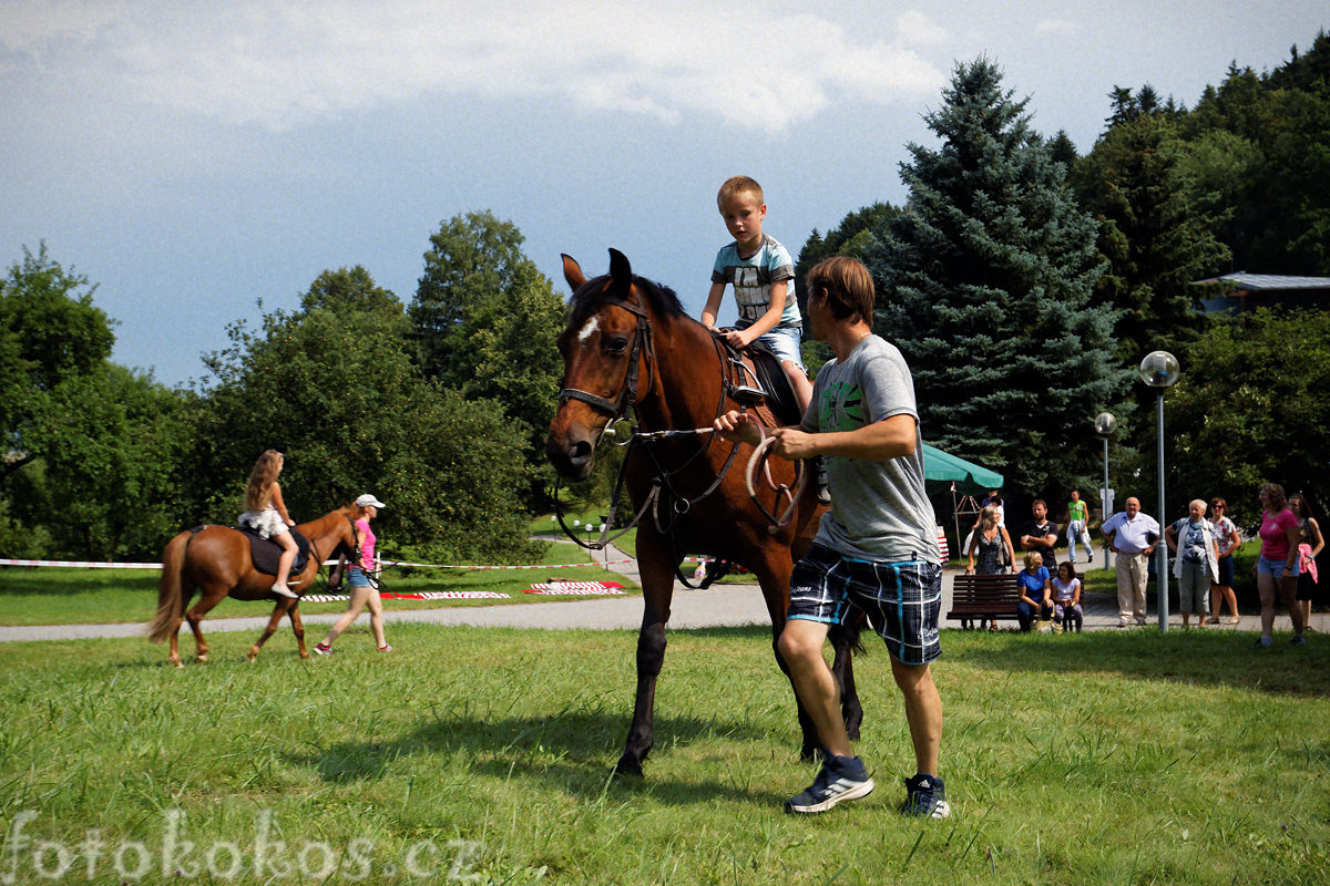 Anensk pou, Anensk studnka 2016