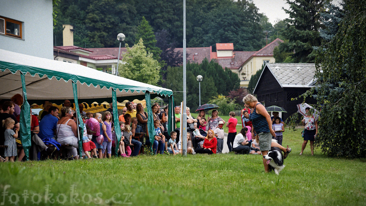 Anensk pou, Anensk studnka 2016