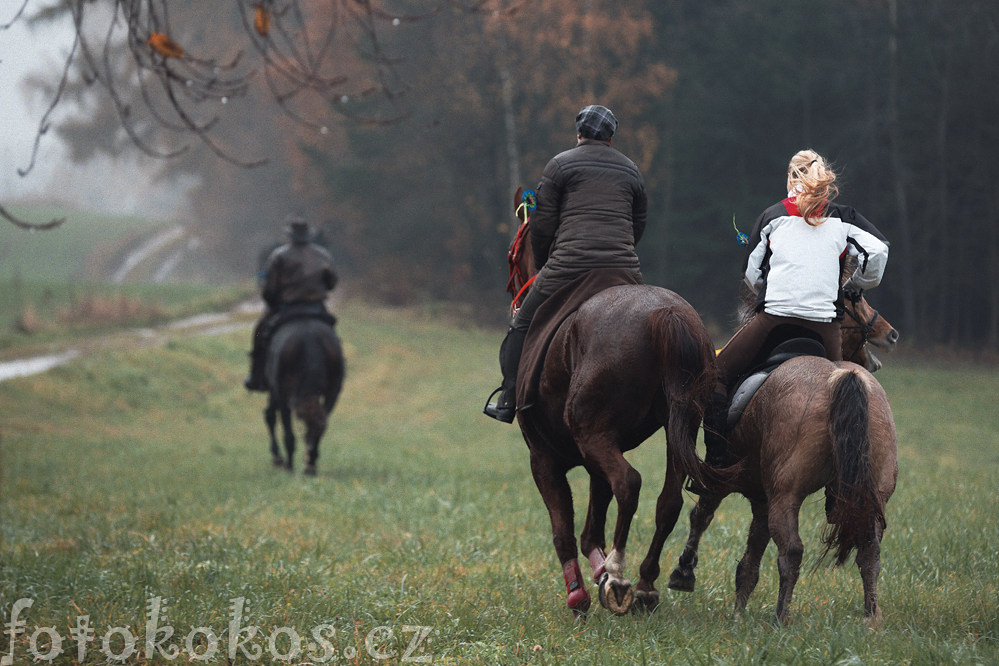 Hubertova jzda - Horn ermn 2014