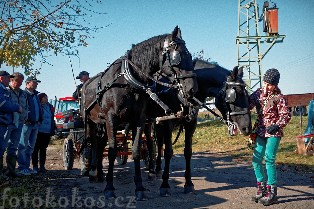 Hubertova jzda, Horn ermn 2015