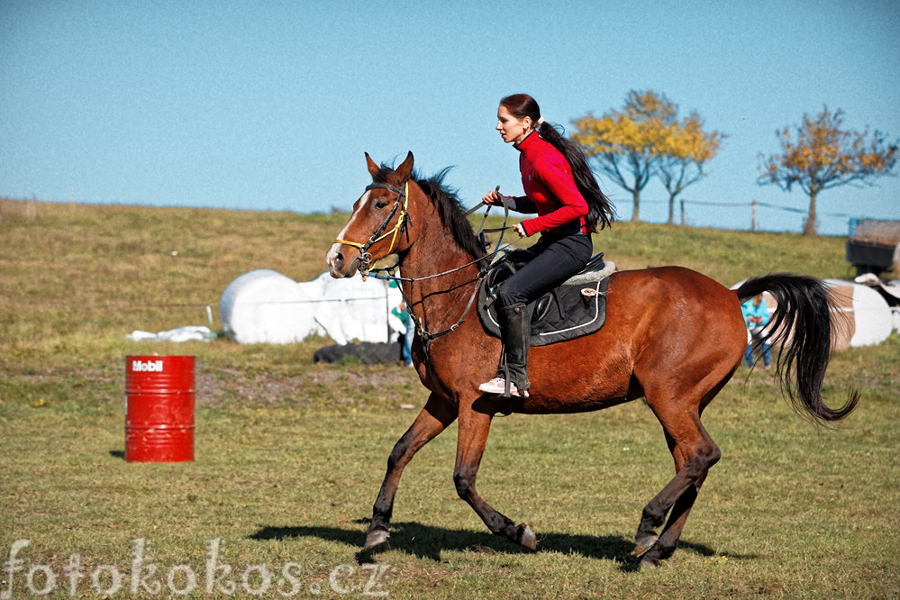 Hubertova jzda, Horn ermn 2015