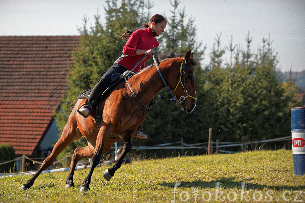 Hubertova jzda, Horn ermn 2015