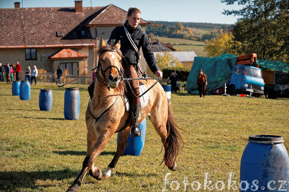 Hubertova jzda, Horn ermn 2015