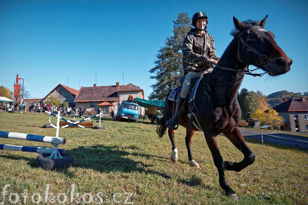 Hubertova jzda, Horn ermn 2015