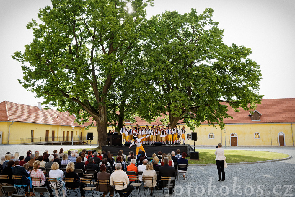 Boni Pueri 2015