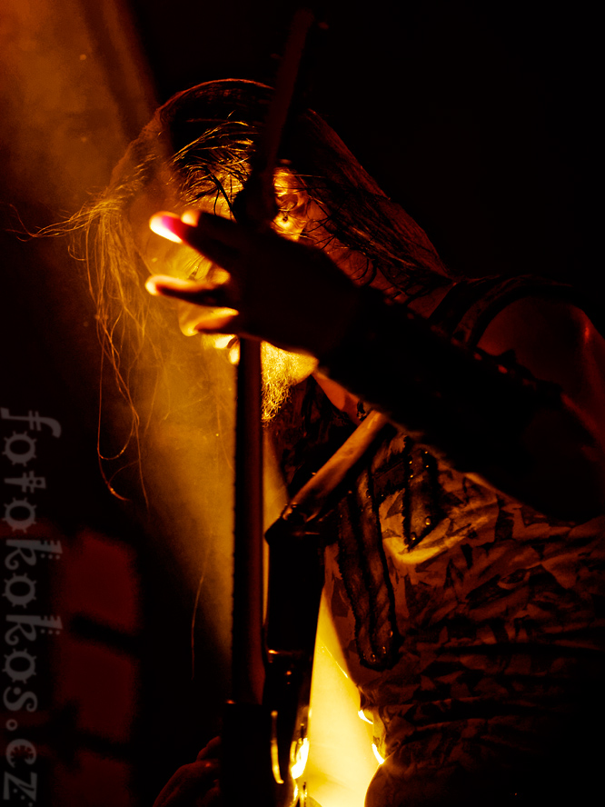 Ensiferum_2015