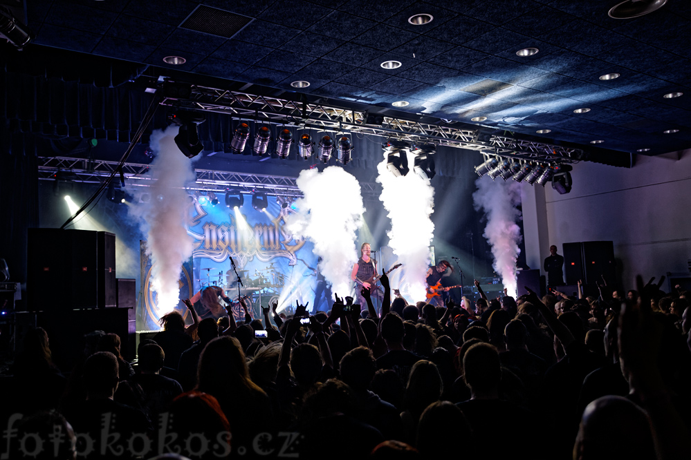 Ensiferum_2015