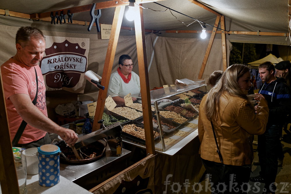 Kopekov pou, Letohrad 2015