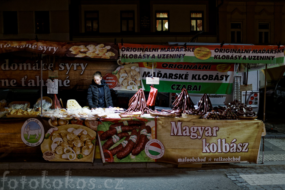 Kopekov pou, Letohrad 2015