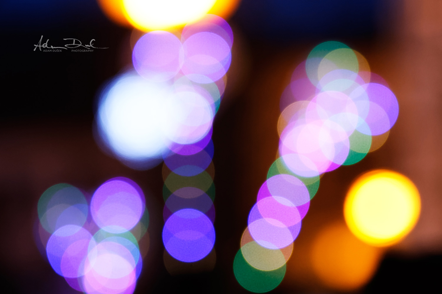 lovely bokeh