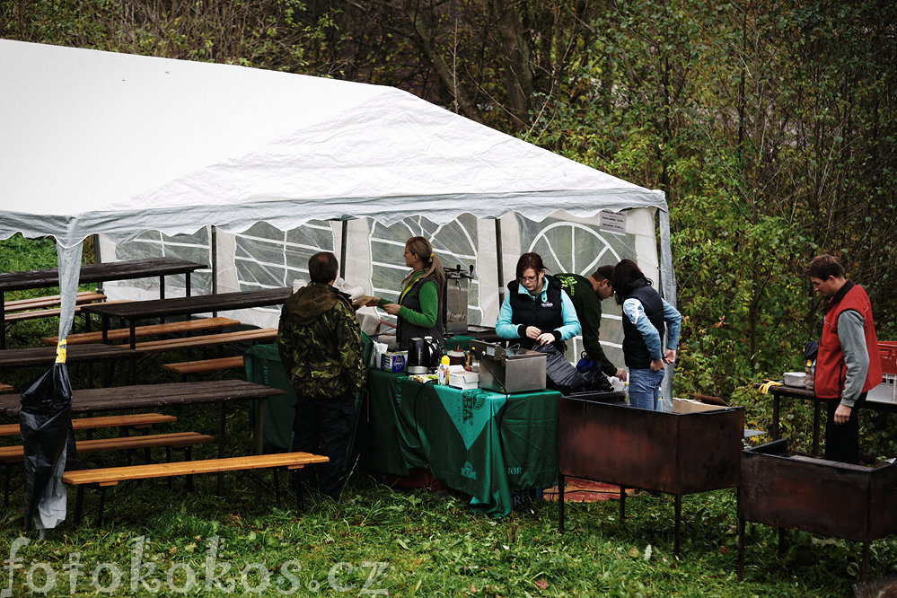 Vlov rybnka, Doln ermn 2014