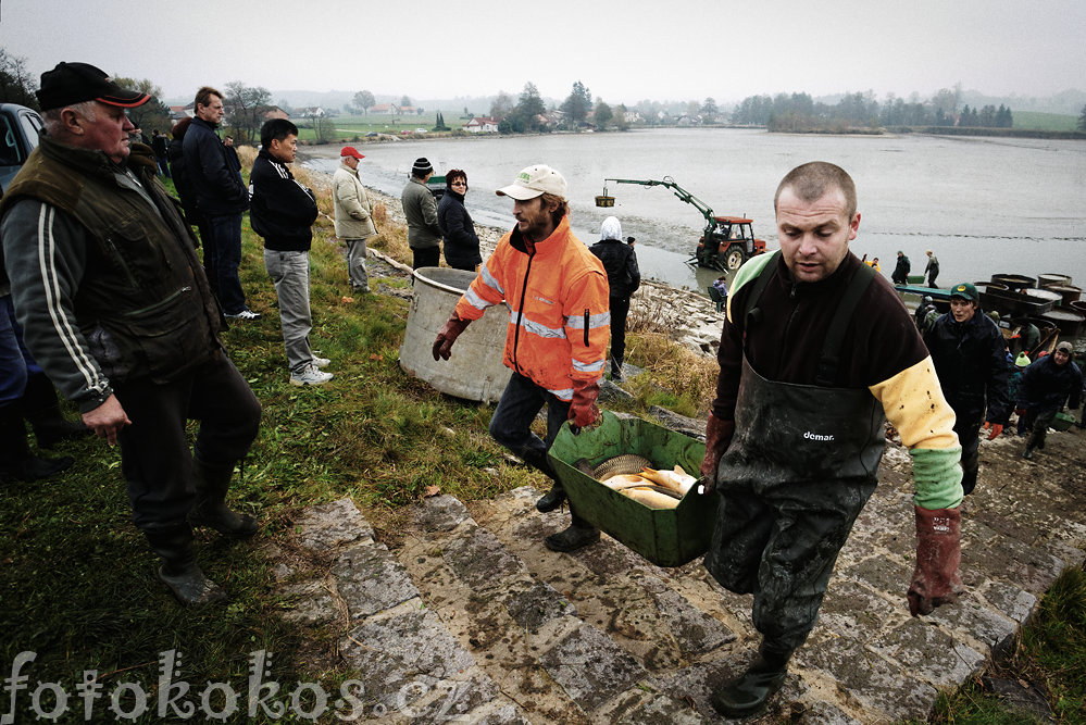 Vlov rybnka, Doln ermn 2014