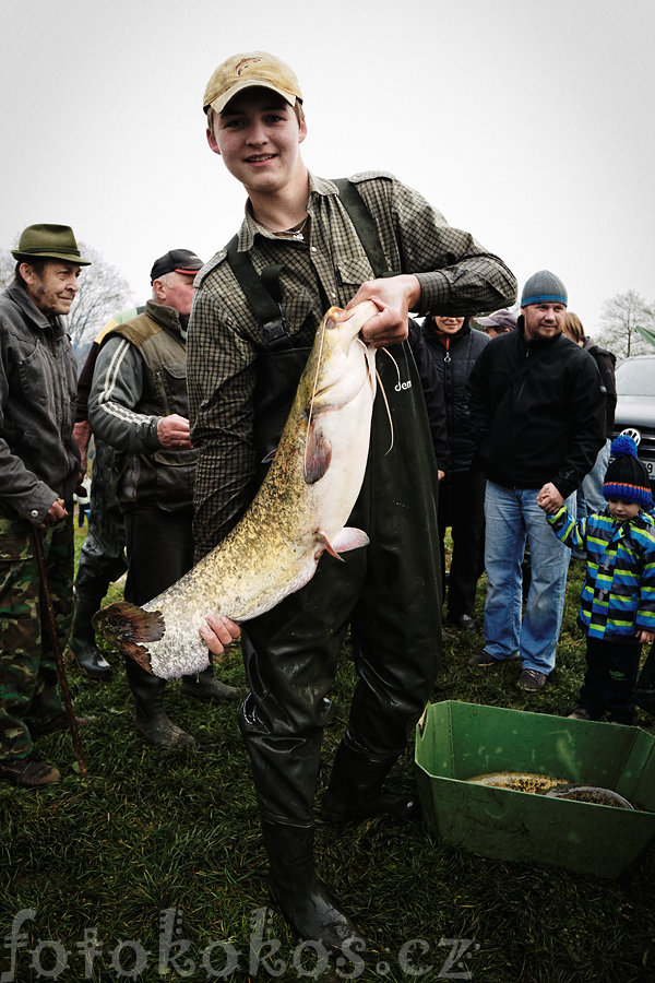 Vlov rybnka, Doln ermn 2014