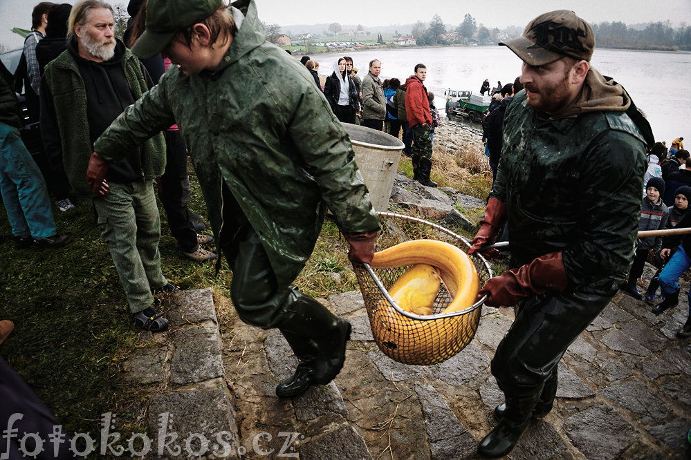 Vlov rybnka, Doln ermn 2014