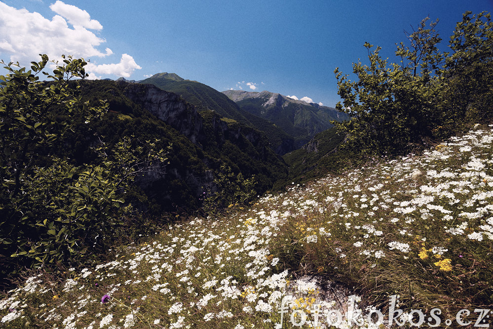 Bosna and Herzegovina - Bjelanica Mountains 2014