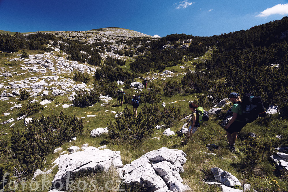 Bosna and Herzegovina - Bjelanica Mountains 2014