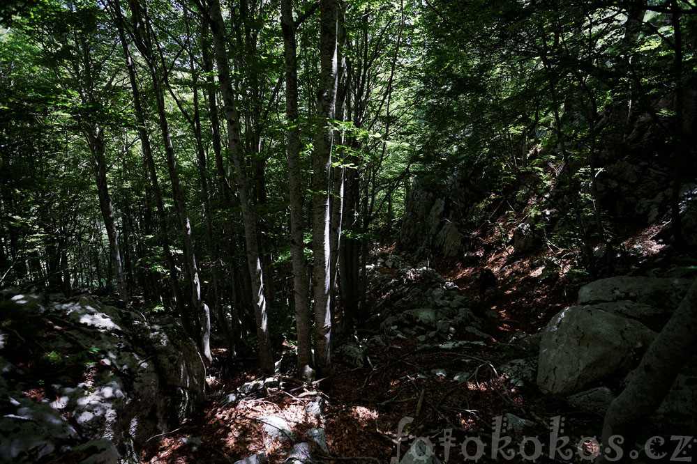 Bosnia and Herzegovina - Prenj Mountains