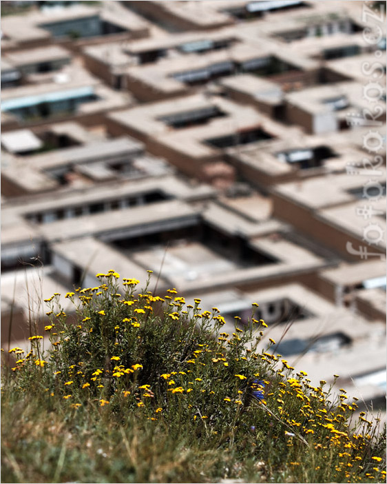 Labrang monastery