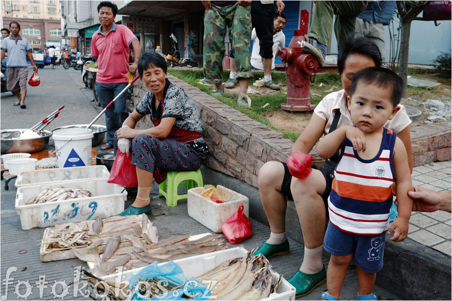 Shengsi Island