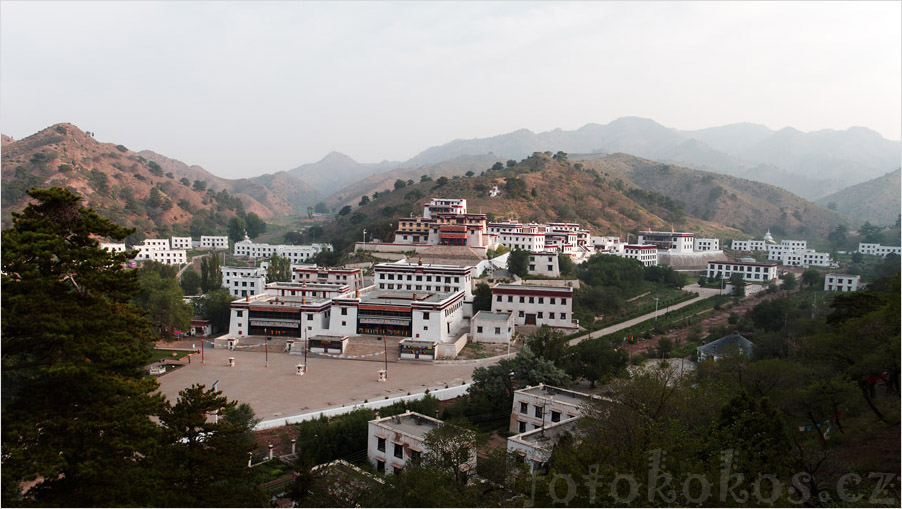 Wudang Zhao