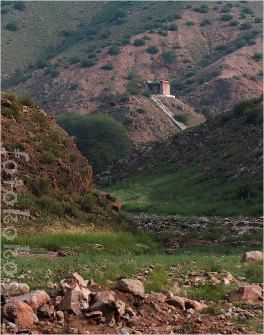 Wudang zhao