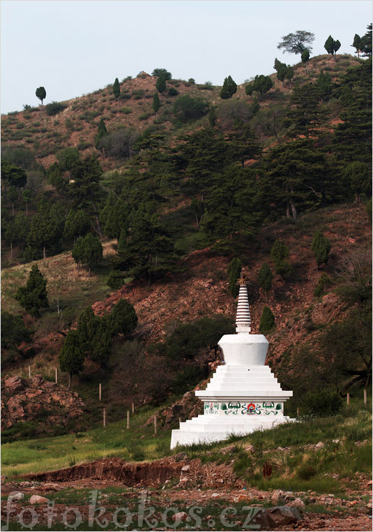 Wudang zhao