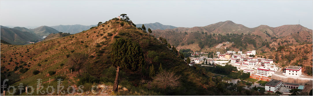 Wudang zhao