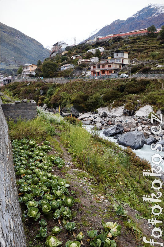 Badrinath