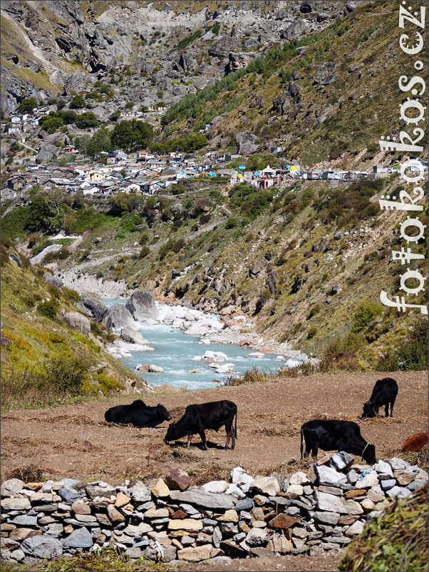 Badrinath