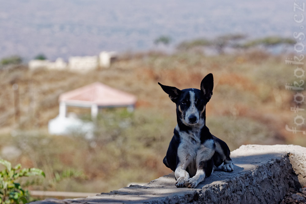 Dinodhar, Gujarat, India