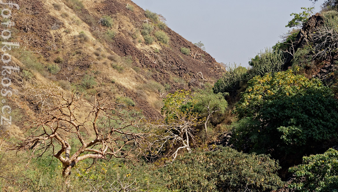 Dinodhar, Gujarat, India