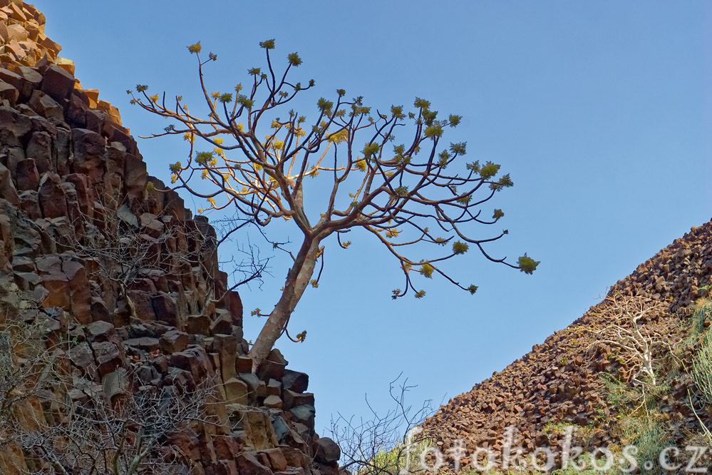 Dinodhar, Gujarat, India