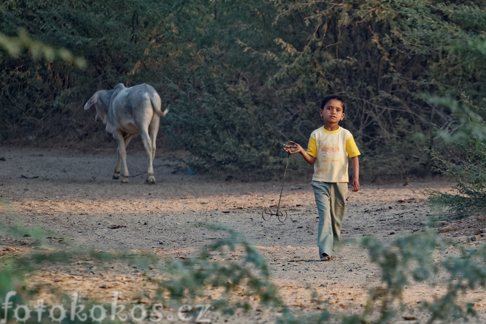 Dinodhar, Gujarat, India