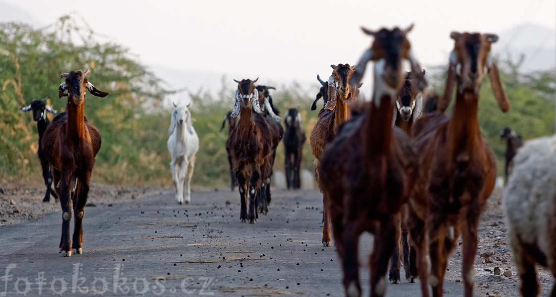 Dinodhar, Gujarat, India