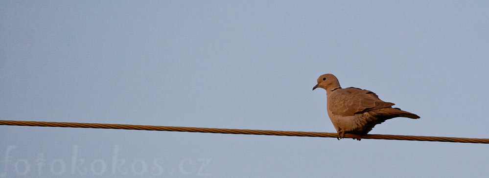 Dinodhar, Gujarat, India