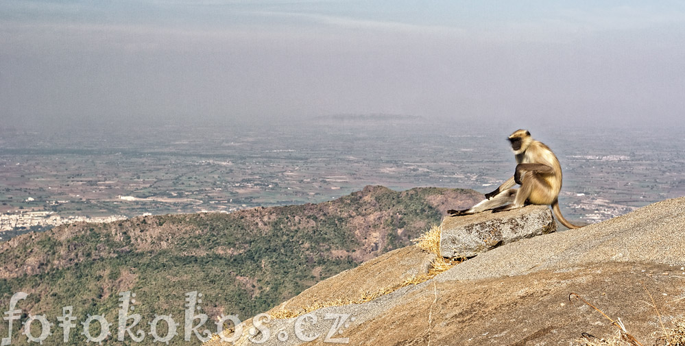 Girnar - Gujarat - India