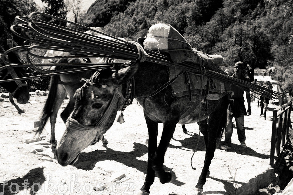 Hemkund_Trip