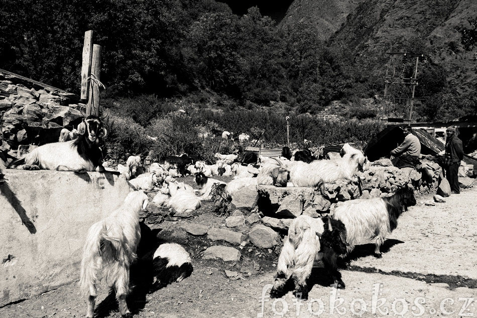 Hemkund_Trip