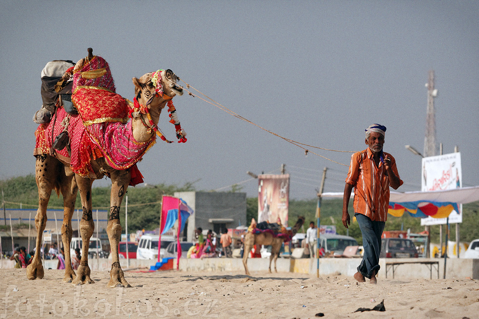 Mandvi - Gujarat - India