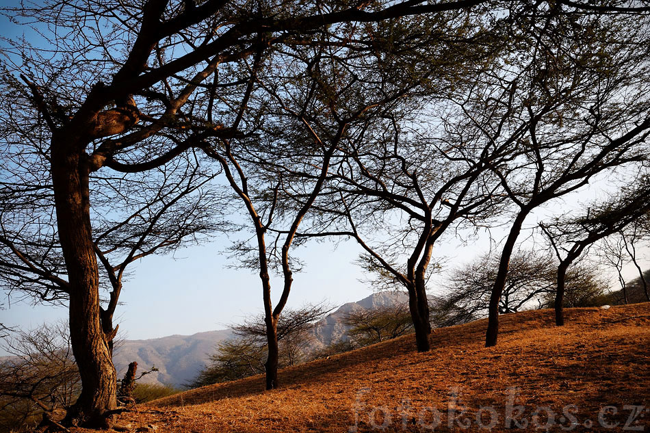 Pushkar - India