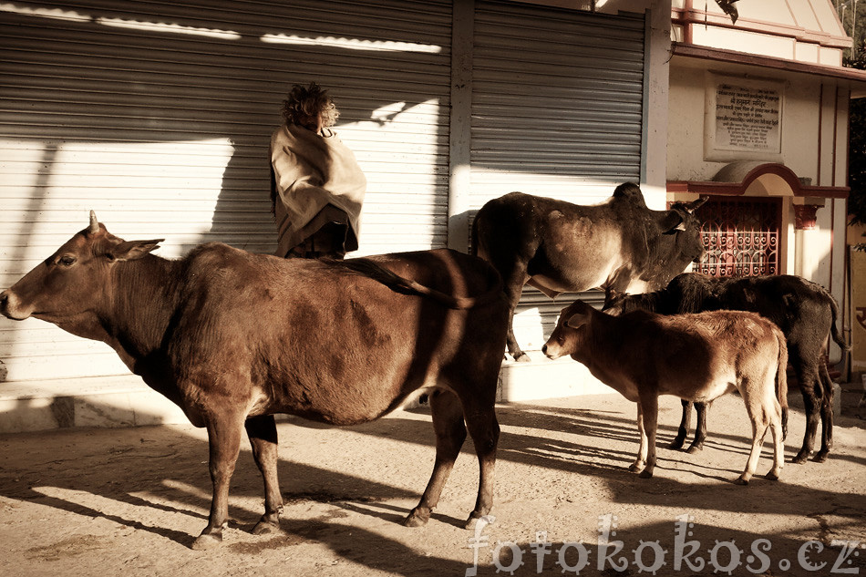 Rishikesh photo