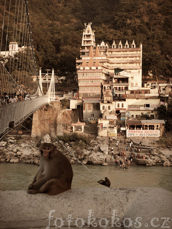 Rishikesh photo