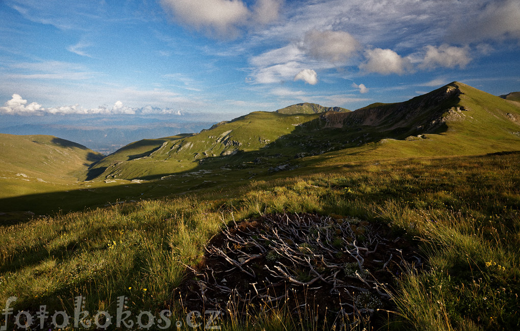 ar Planina 2014