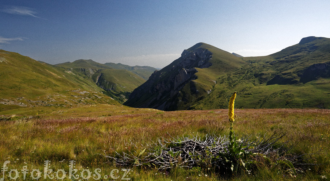 ar Planina 2014