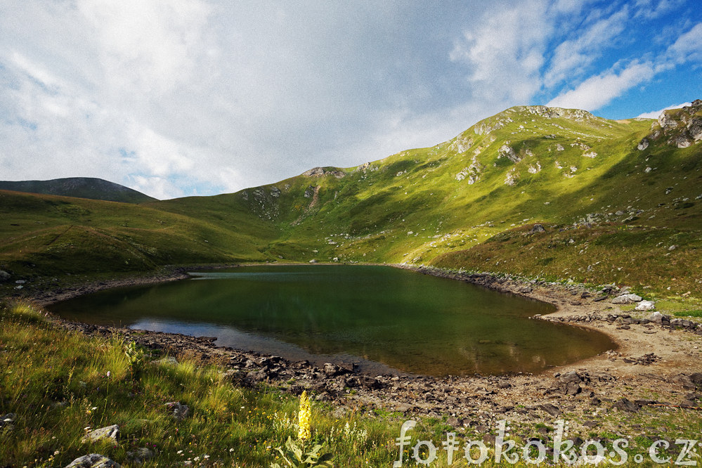 ar Planina 2014