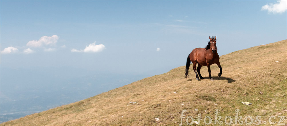 Romania 2010