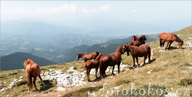 Romania 2010