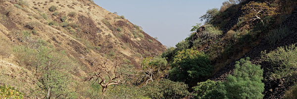 Dinodhar, Gujarat, India